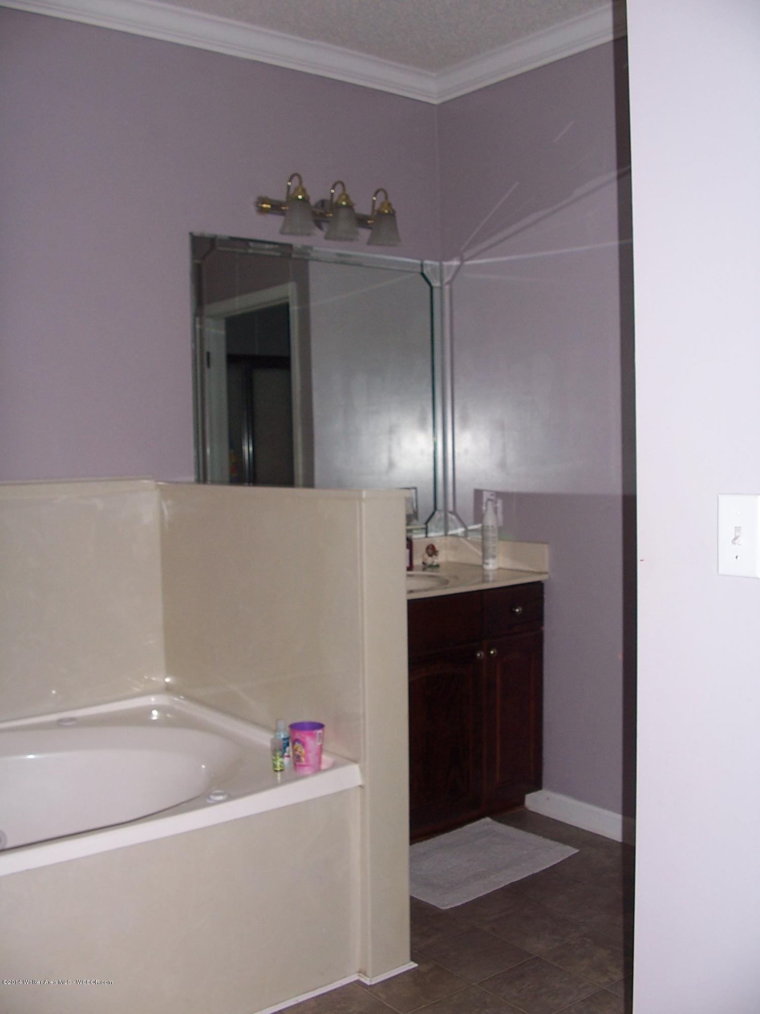161 Lone Oak Road Jasper, AL 35504 - Photo 13 of 16 Gallery Image 13
