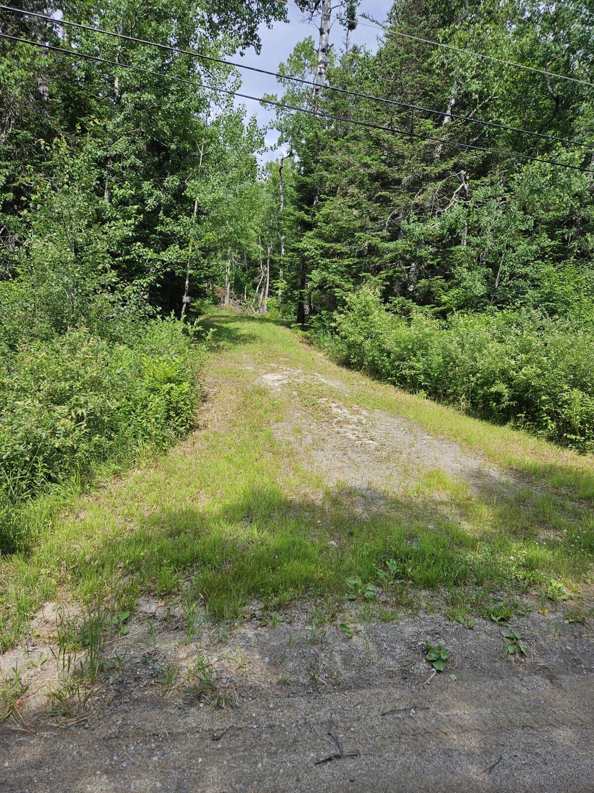 image_123650291 (6)