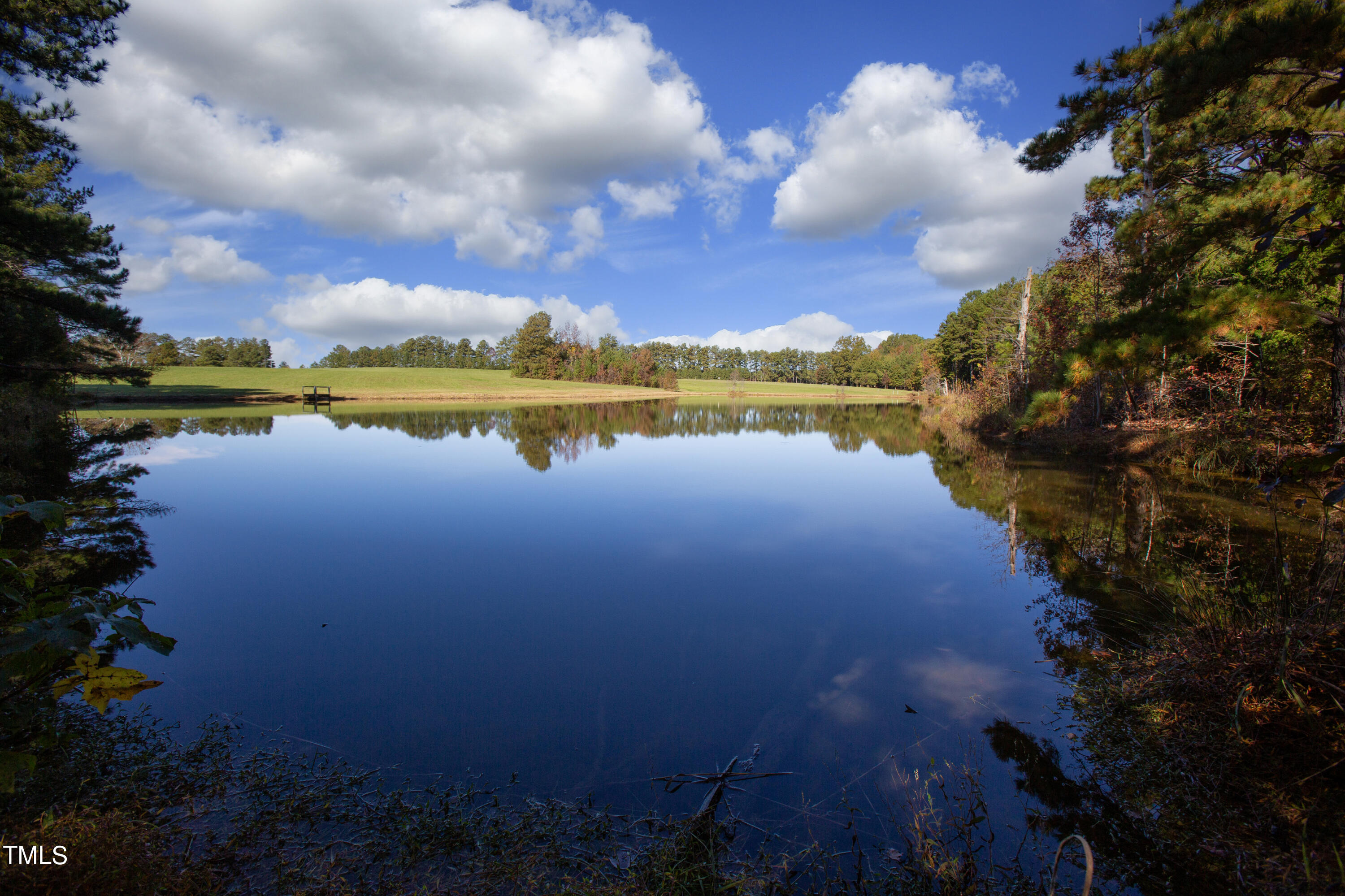 a view of a lake from a yard