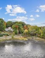 201 Shore Road Greenwich, CT 06830 - Photo 15 of 29 a view of a yard of a lake