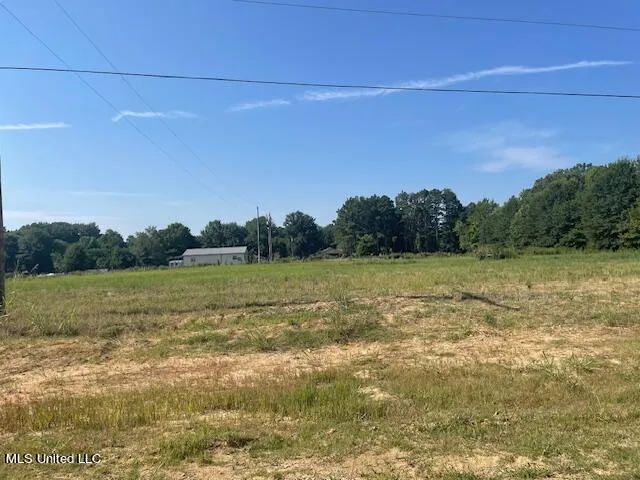 $115,000 | 1901 Cane Crk Drive, Hernando, MS 38632