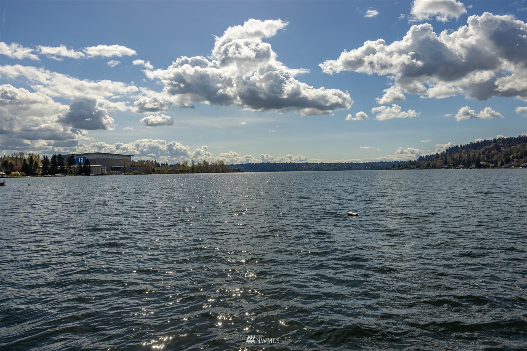 6631 Ripley Ln S East Renton, WA 98056 - Photo 24 of 34 a view of a lake