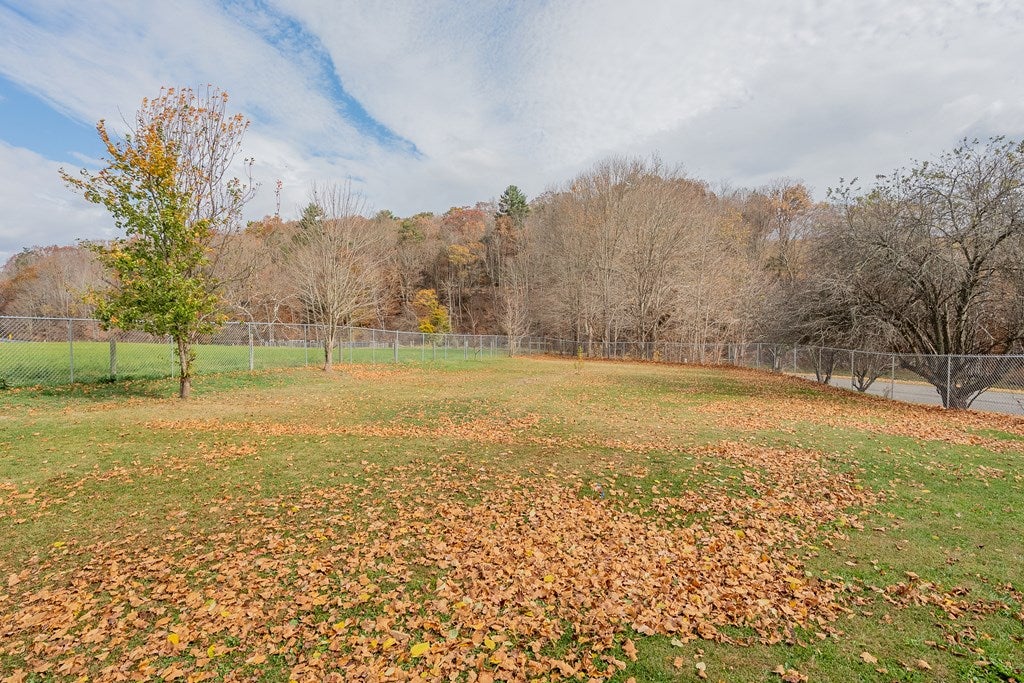 4567 Waddletown Road Bland, VA 24315 - Photo 53 of 65 Gallery Image 53