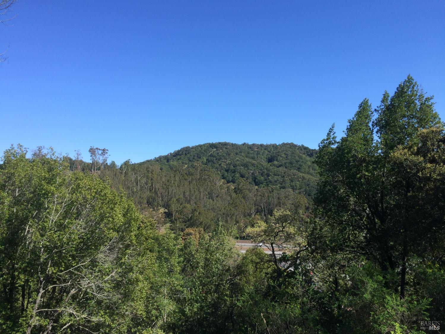 59 Fair Drive San Rafael, CA 94901 - Photo 3 of 12 a view of a city with lush green forest