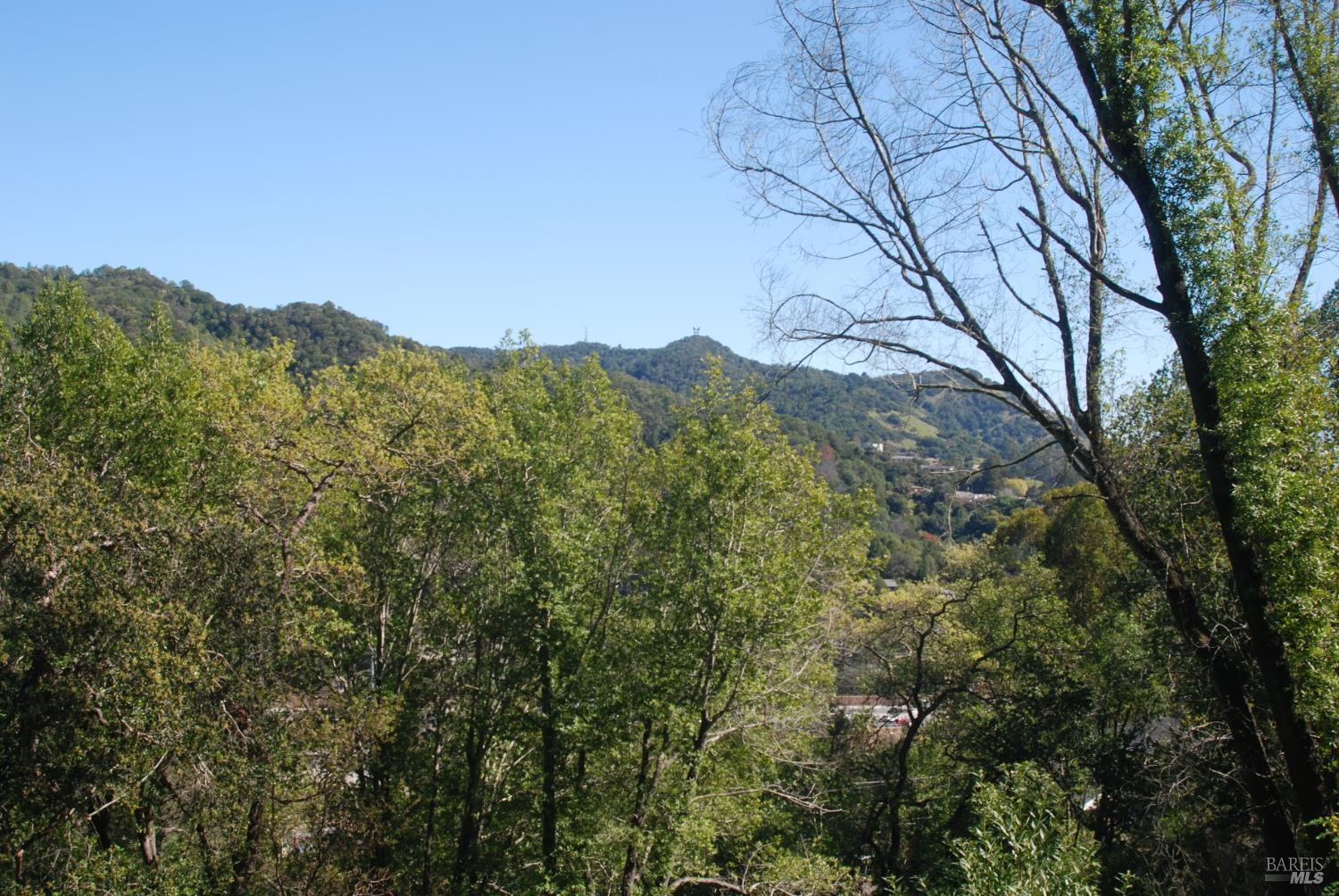 59 Fair Drive San Rafael, CA 94901 - Photo 6 of 12 a view of a forest with a mountain
