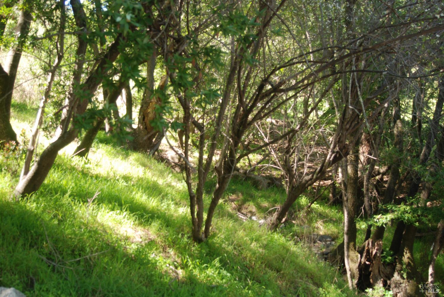 59 Fair Drive San Rafael, CA 94901 - Photo 8 of 12 a backyard of a house