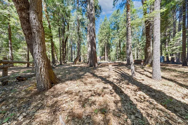 $800,000 | 740 Hideaway Loop, Alta, CA 95701