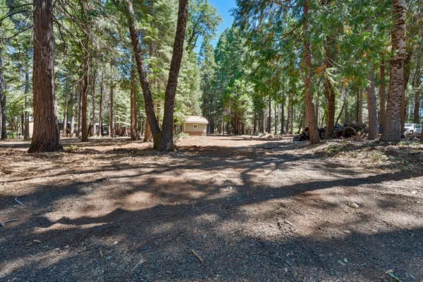 $800,000 | 740 Hideaway Loop, Alta, CA 95701