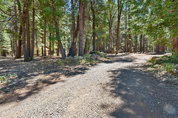 $800,000 | 740 Hideaway Loop, Alta, CA 95701
