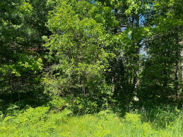 1 M-37 Baldwin, MI 49304 - Photo 13 of 15