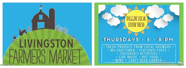 $211,200 | 0 Cane Creek Road, Flora, MS 39071