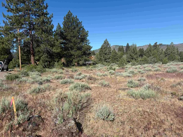 $50,000 | 364 Wrangler Drive, Loyalton, CA 96118