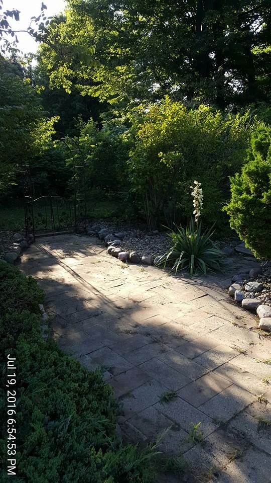 8105 Sparling Road Goodells, MI 48027 - Photo 12 of 28