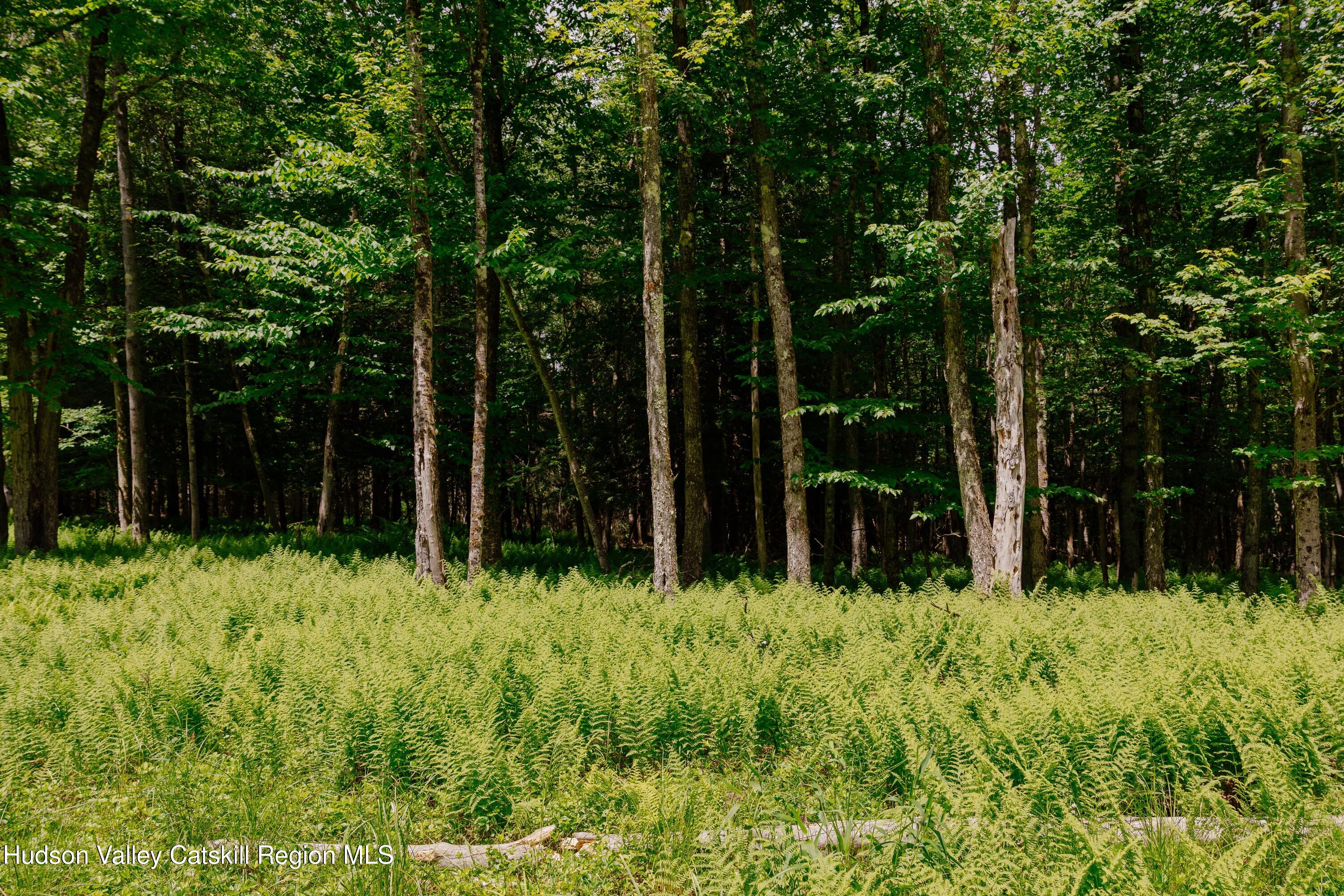 shandelee-woods-thatupstateagent-1-1