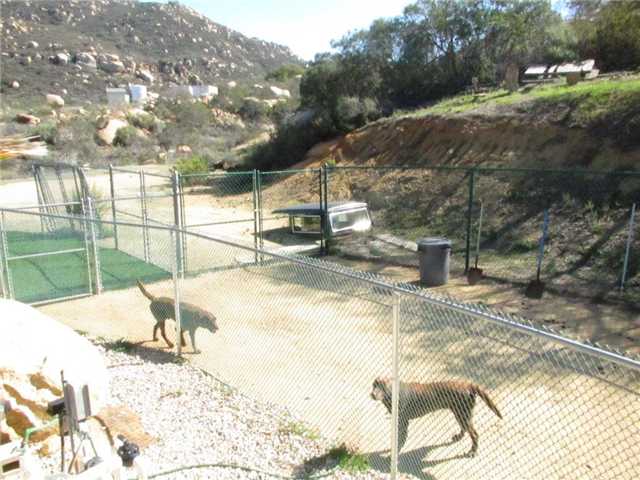 16325 Lyons Valley Road Jamul, CA 91935 - Photo 16 of 23 Dog run...