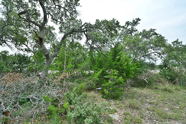 $77,900 | 134 West Pat Dolan, Blanco, TX 78606