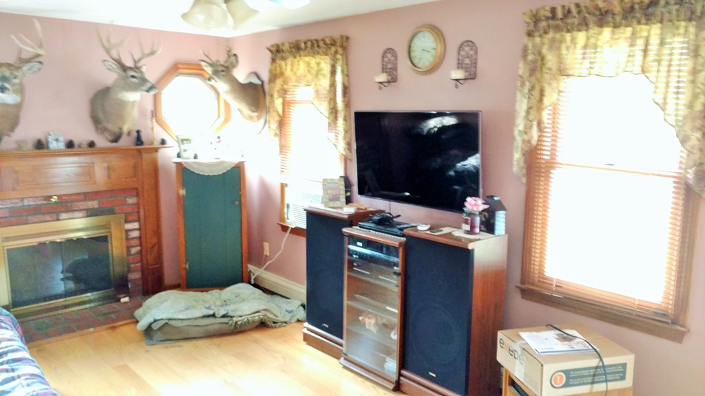 Gallery Image 6