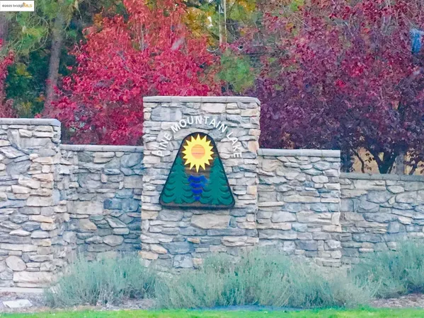 a aerial view of a yard