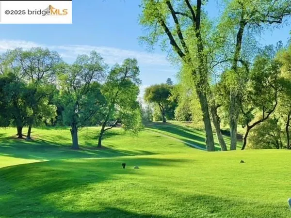 a view of a park with a tree in the background