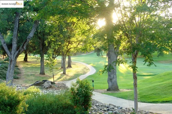 a view of yard with green space