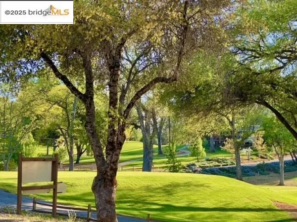 a view of swimming pool with yard