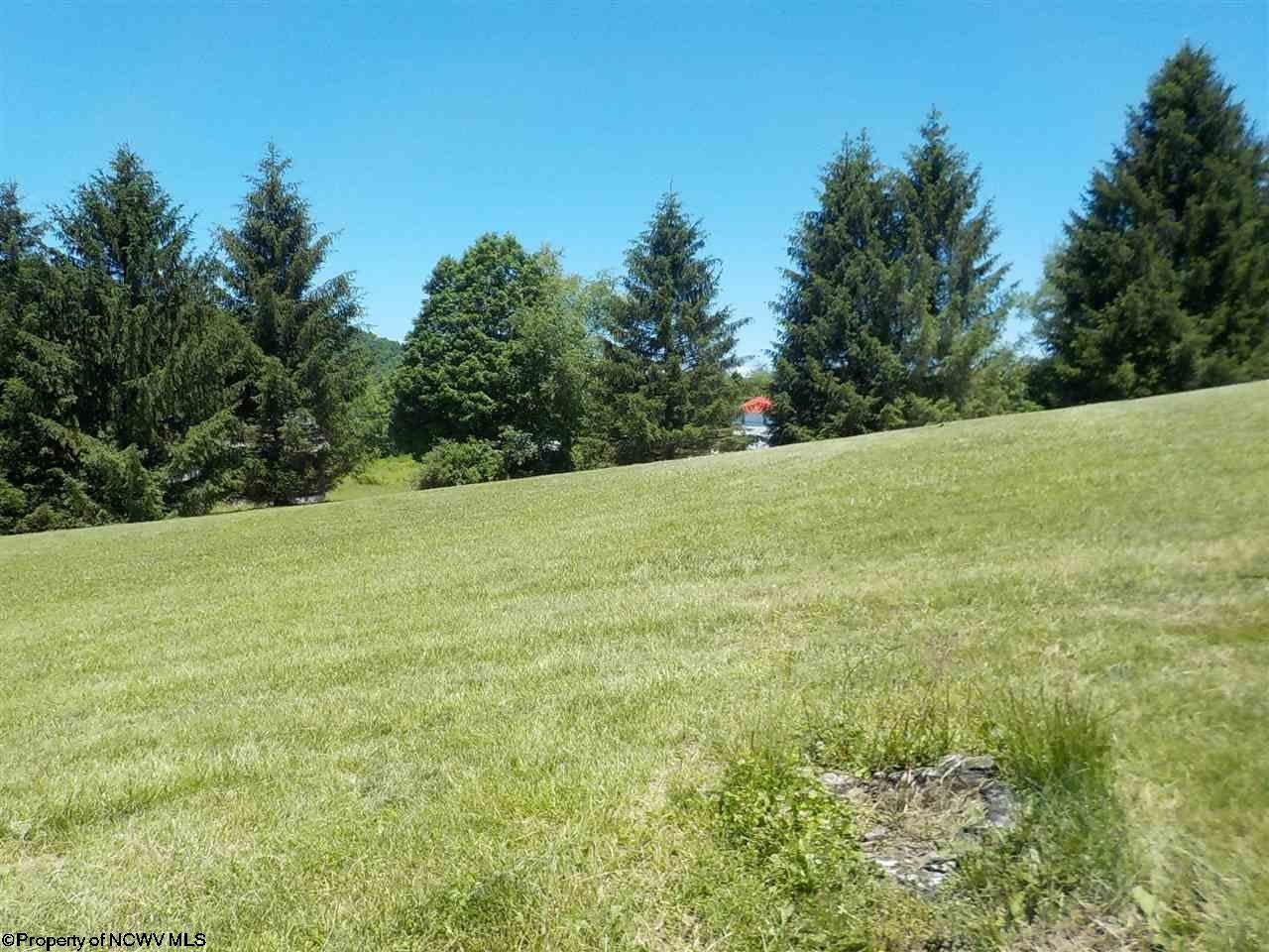 6576 Parsons Road Montrose, WV 26283 - Photo 3 of 30 Gallery Image 3