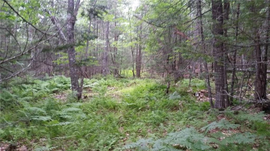 0 Garden Road, Unit LOT 2 Monroe, ME 04951 - Photo 4 of 13 Photo