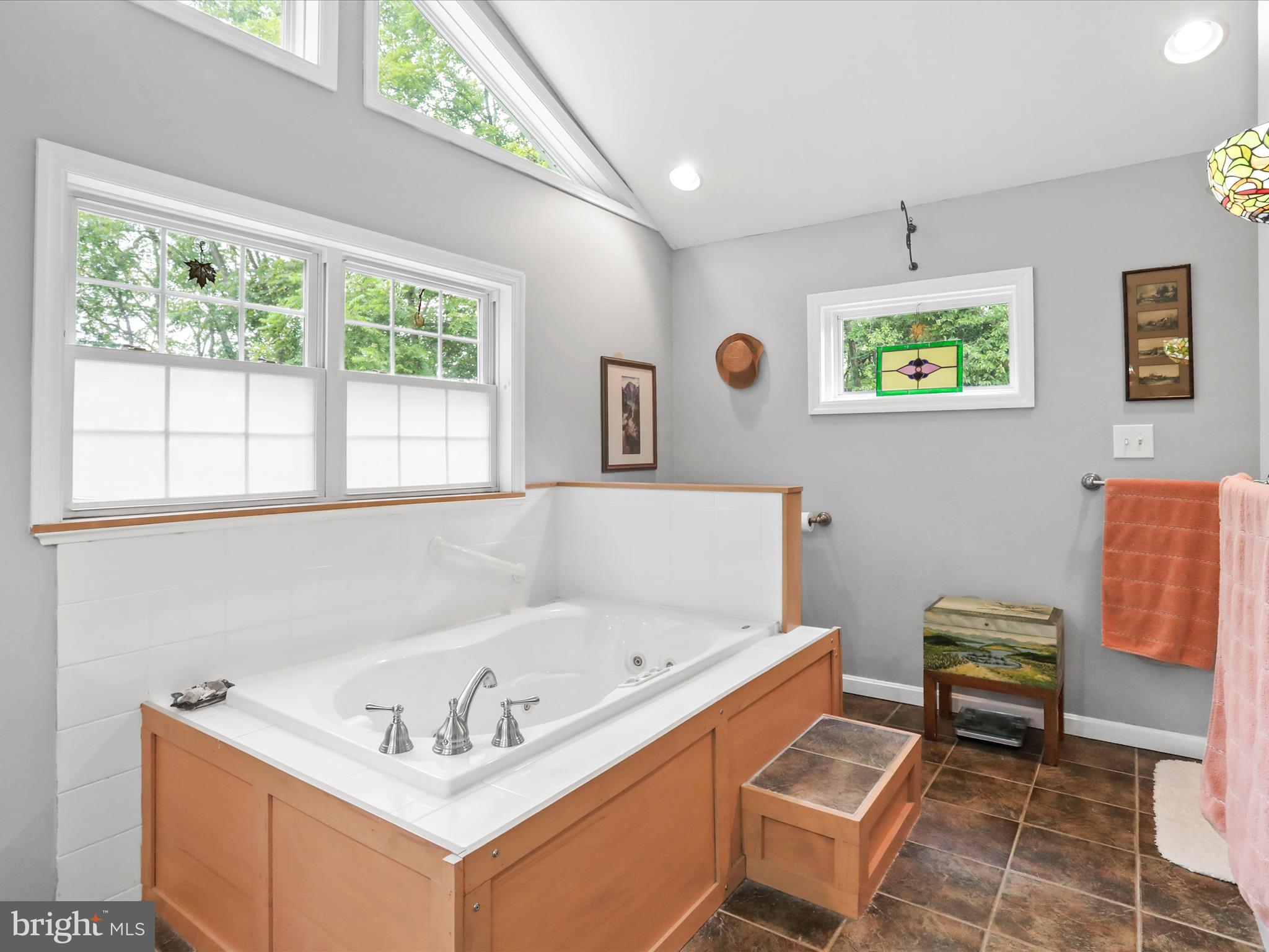345 Cather Road Berryville, VA 22611 - Photo 20 of 51 Beautiful Primary Bath