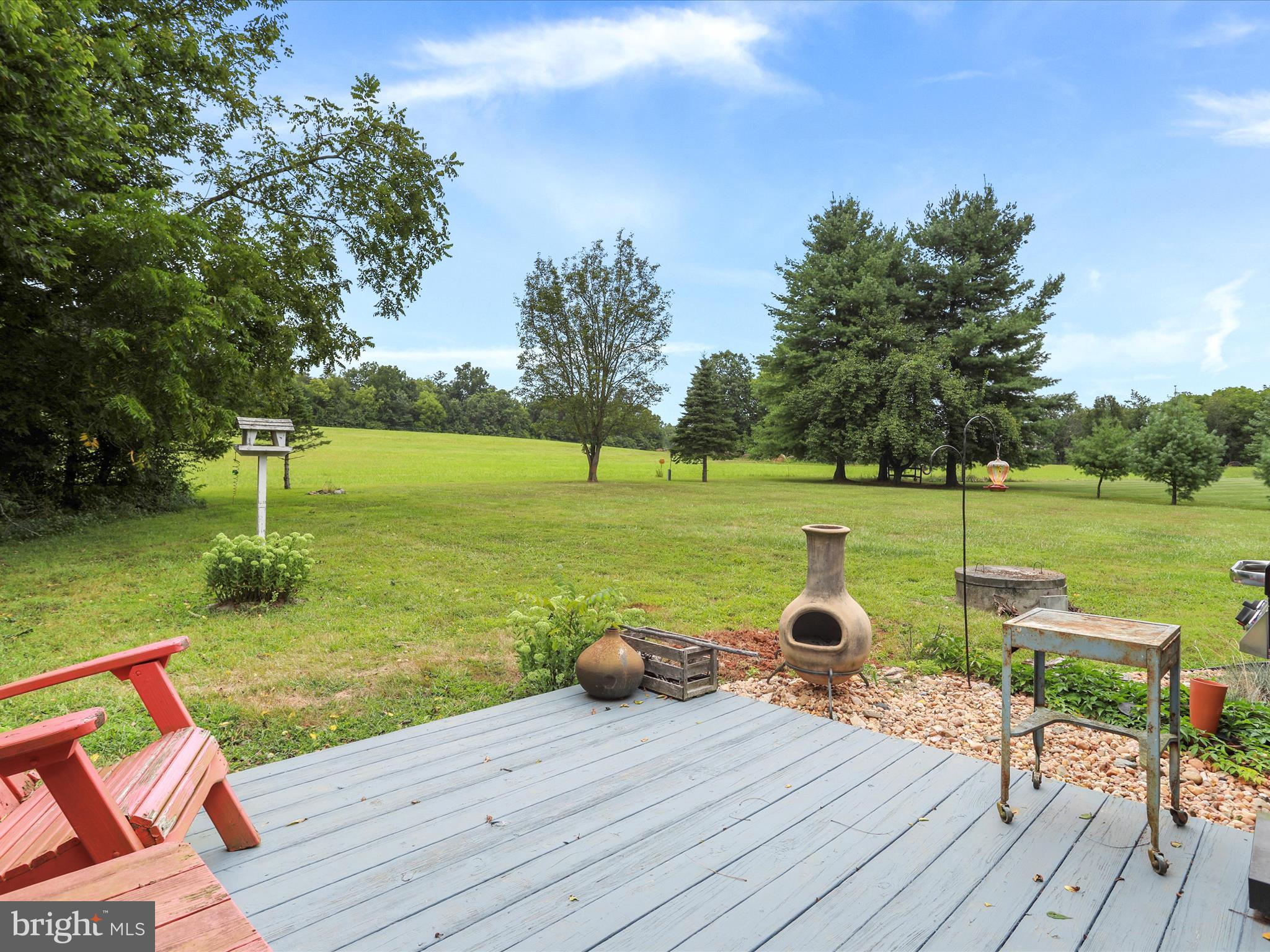 345 Cather Road Berryville, VA 22611 - Photo 32 of 51 Veiw from rear Patio