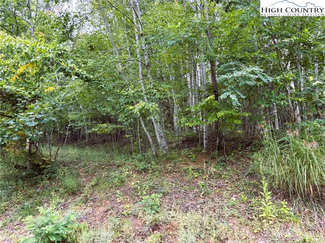 $209,900 | Lot #2 A Falls Creek Parkway, Elk Park, NC 28622