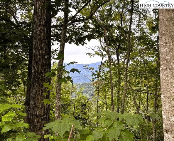 $209,900 | Lot #2 A Falls Creek Parkway, Elk Park, NC 28622