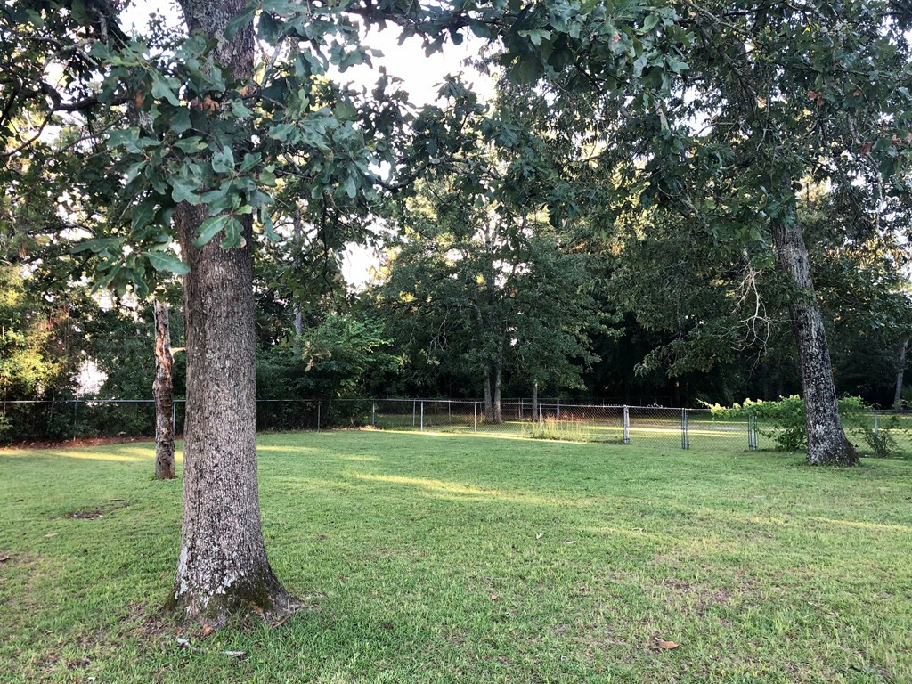 1528 Brown Road Hephzibah, GA 30815 - Photo 17 of 18