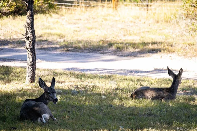a view of deck with patio