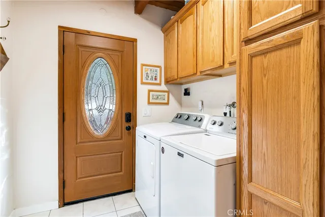 a view of a forest with trees in the background