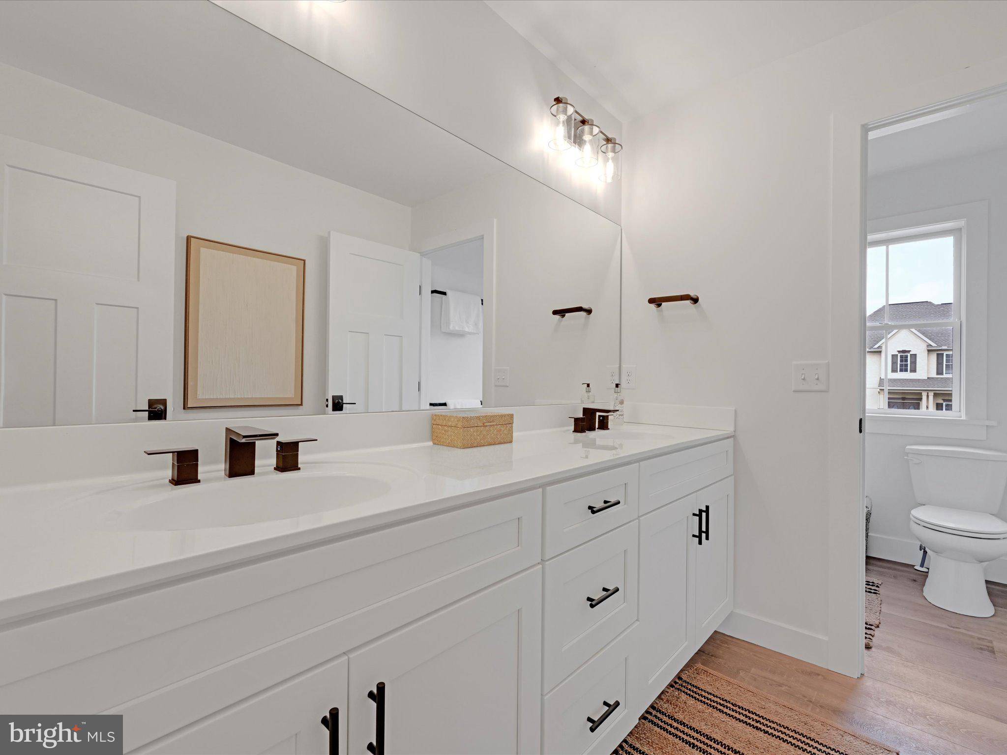 335 Royal Hunt Way Lititz, PA 17543 - Photo 35 of 49 a bathroom with a sink and a mirror