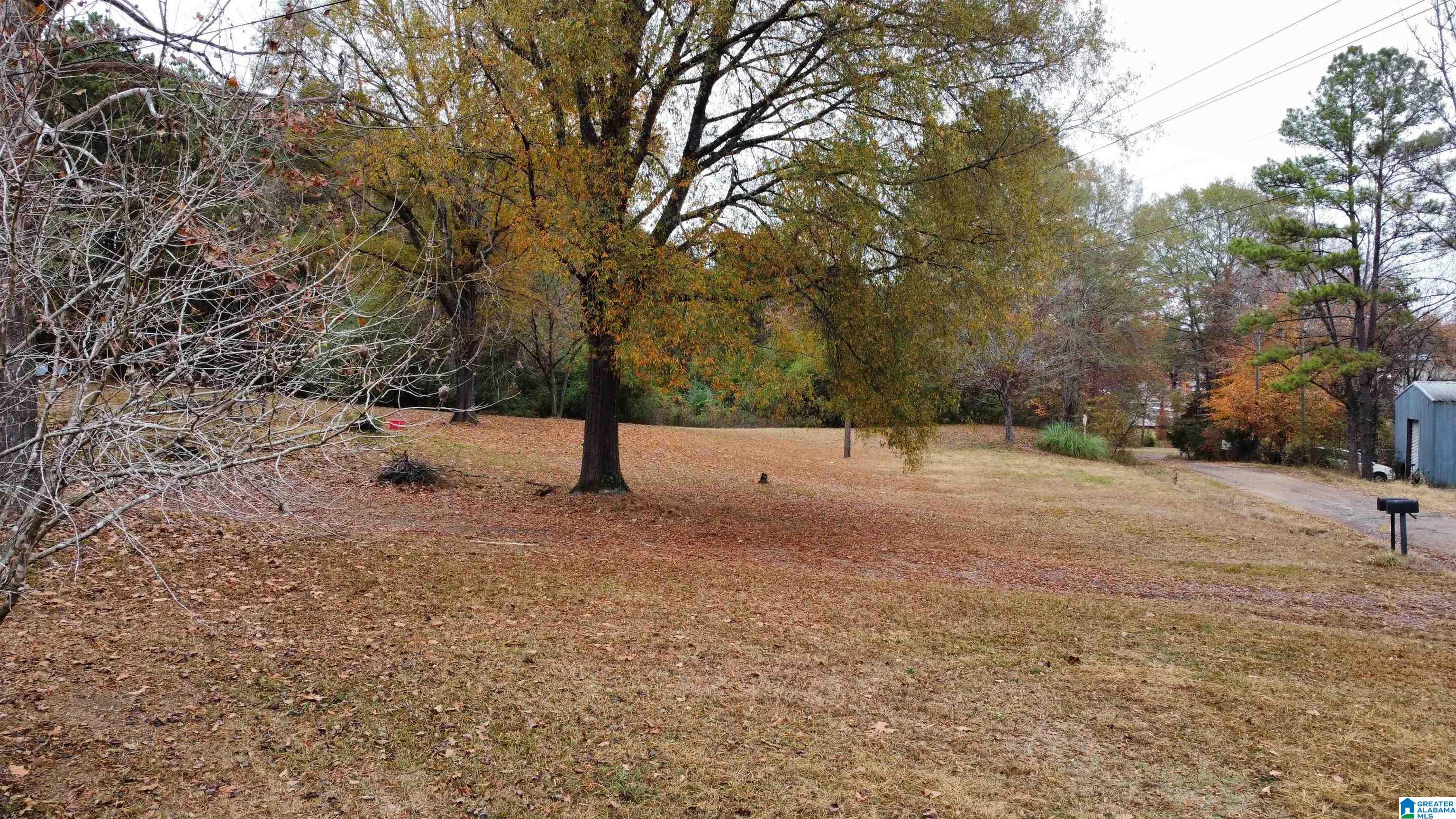 385 Jackson Street, Unit 385 Oakman, AL 35579 - Photo 14 of 19