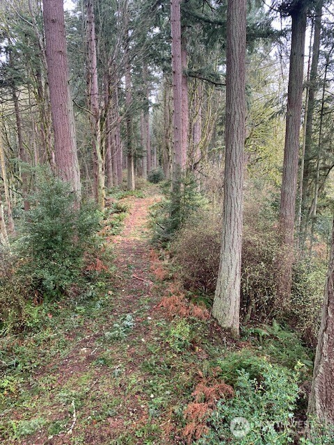 -xxx Hellman Road Clinton, WA 98236 - Photo 6 of 15
