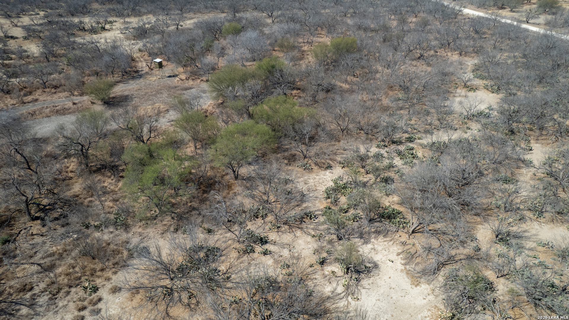 1086 Curtis Bourne Road Crystal City, TX 78839 - Photo 17 of 25