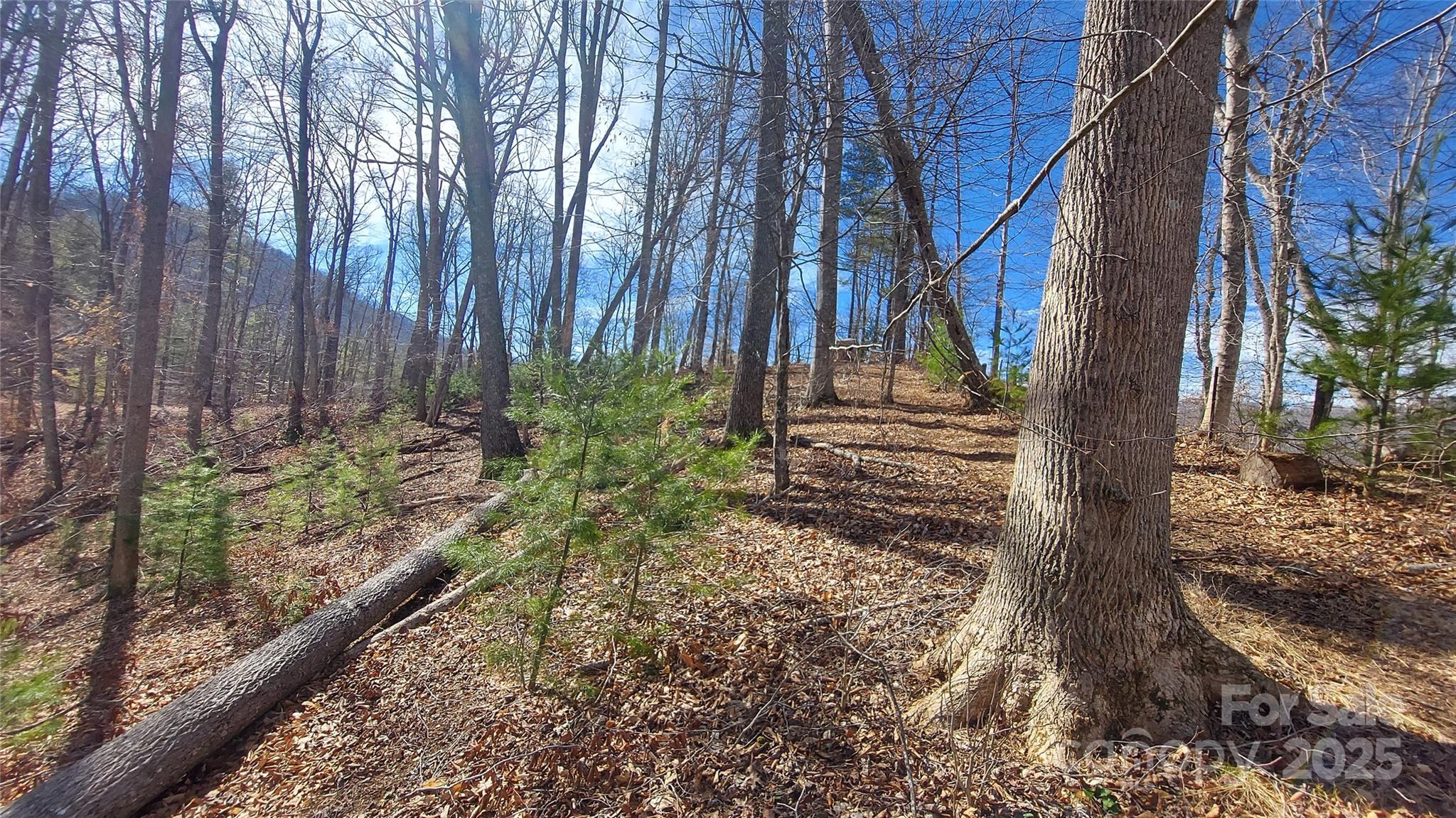 103 Barn Road Burnsville, NC 28714 - Photo 2 of 9