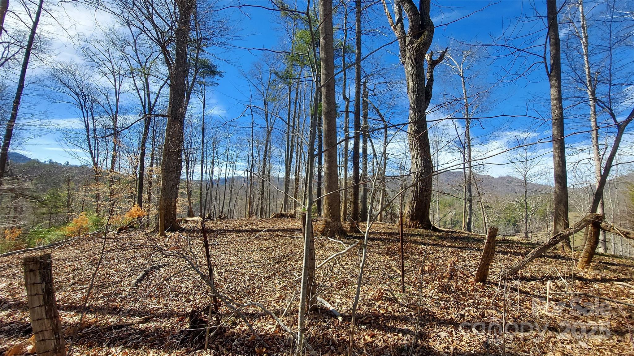 103 Barn Road Burnsville, NC 28714 - Photo 5 of 9