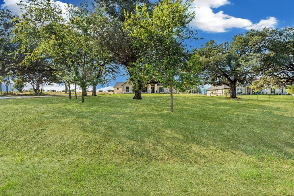 1005 Lilly Lane Weatherford, TX 76088 - Photo 34 of 34 a view of a grassy field with trees