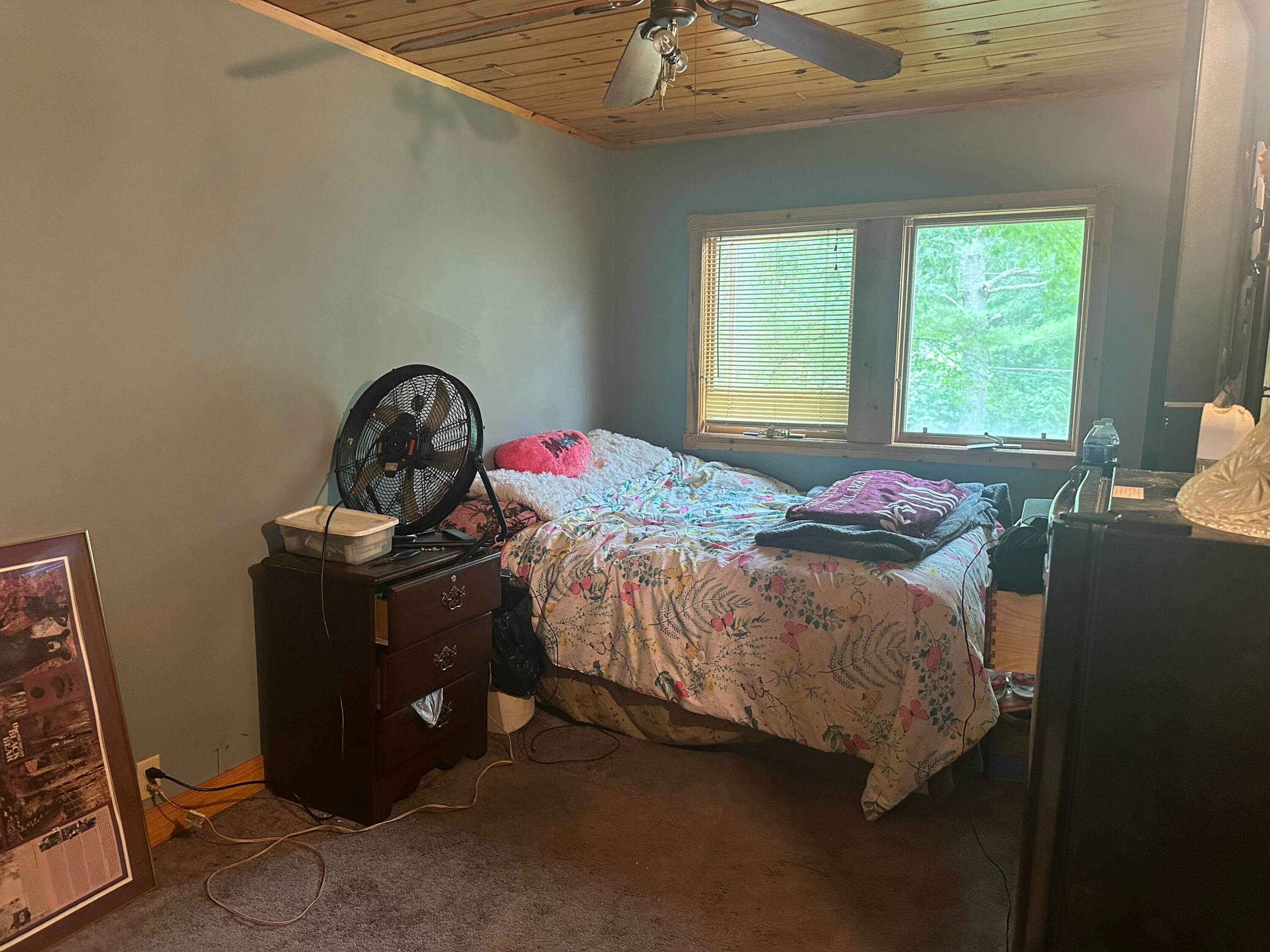 1423 Cauchy Road Mio, MI 48647 - Photo 17 of 17 Gallery Image 17
