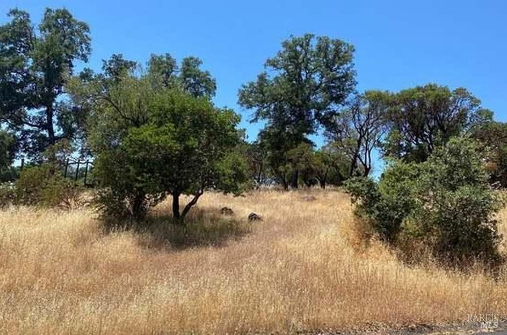16717 Hawks Hill Road Hidden Valley Lake, CA 95467 - Photo 7 of 7