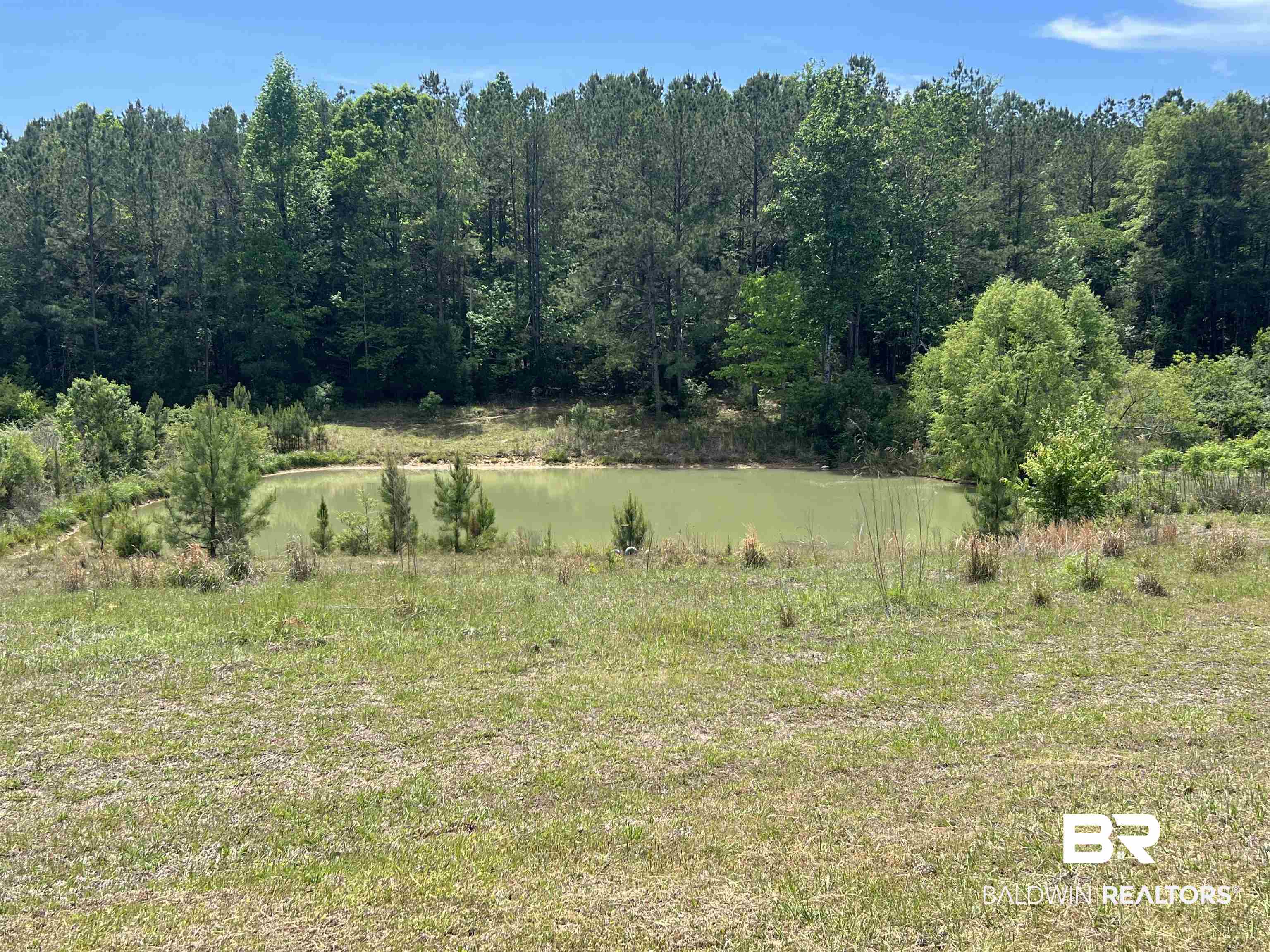 400 Godwin Drive Monroeville, AL 36460 - Photo 21 of 28