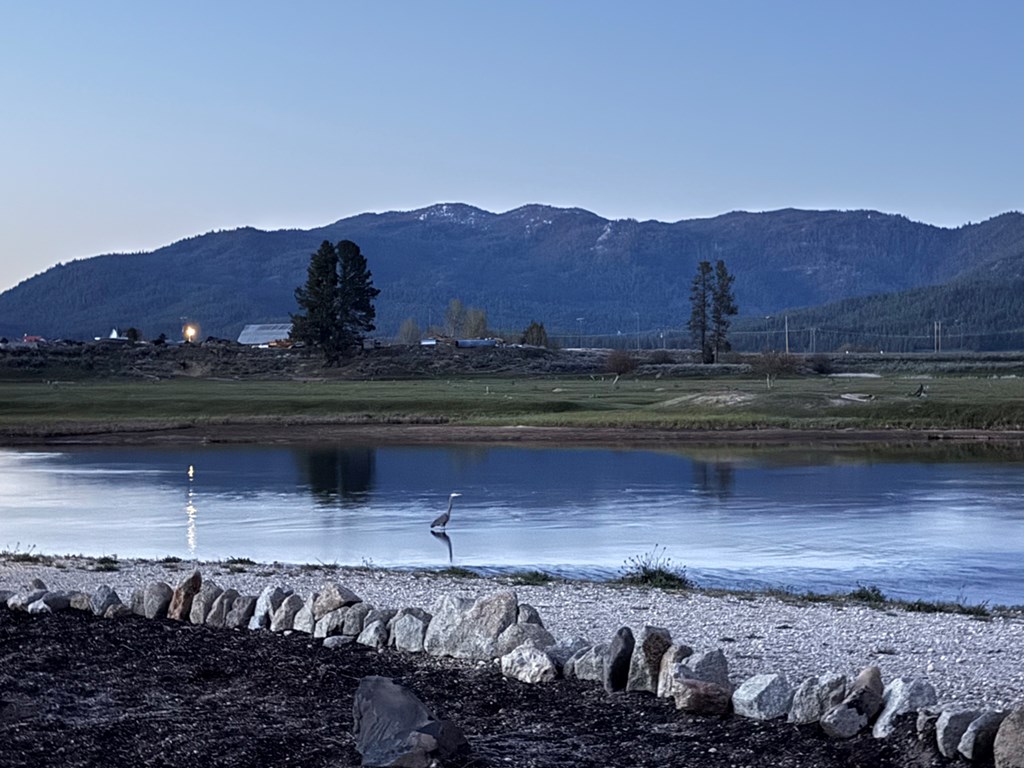1 & 3 P Street Cascade, ID 83611 - Photo 4 of 38 Watch The Blue Heron Fish