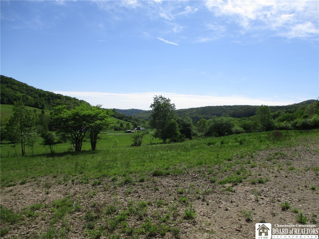Horse Run Road Shinglehouse, PA 16748 - Photo 1 of 1