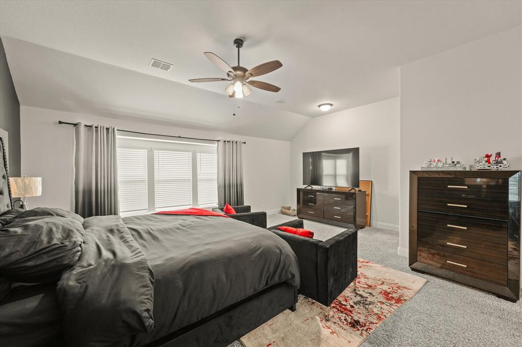 512 Navo Road Little Elm, TX 75068 - Photo 13 of 29