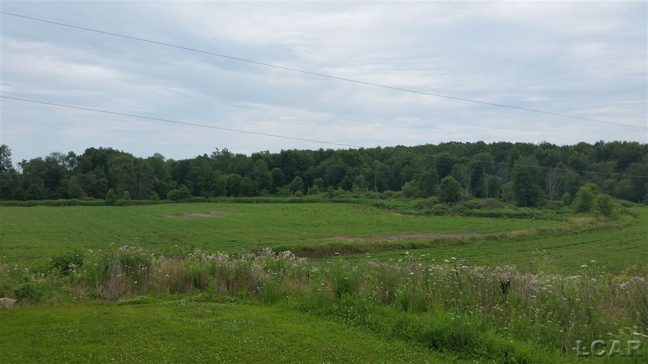 7351 South Pittsford Road Pittsford, MI 49271 - Photo 10 of 18 31254178-9.JPG
