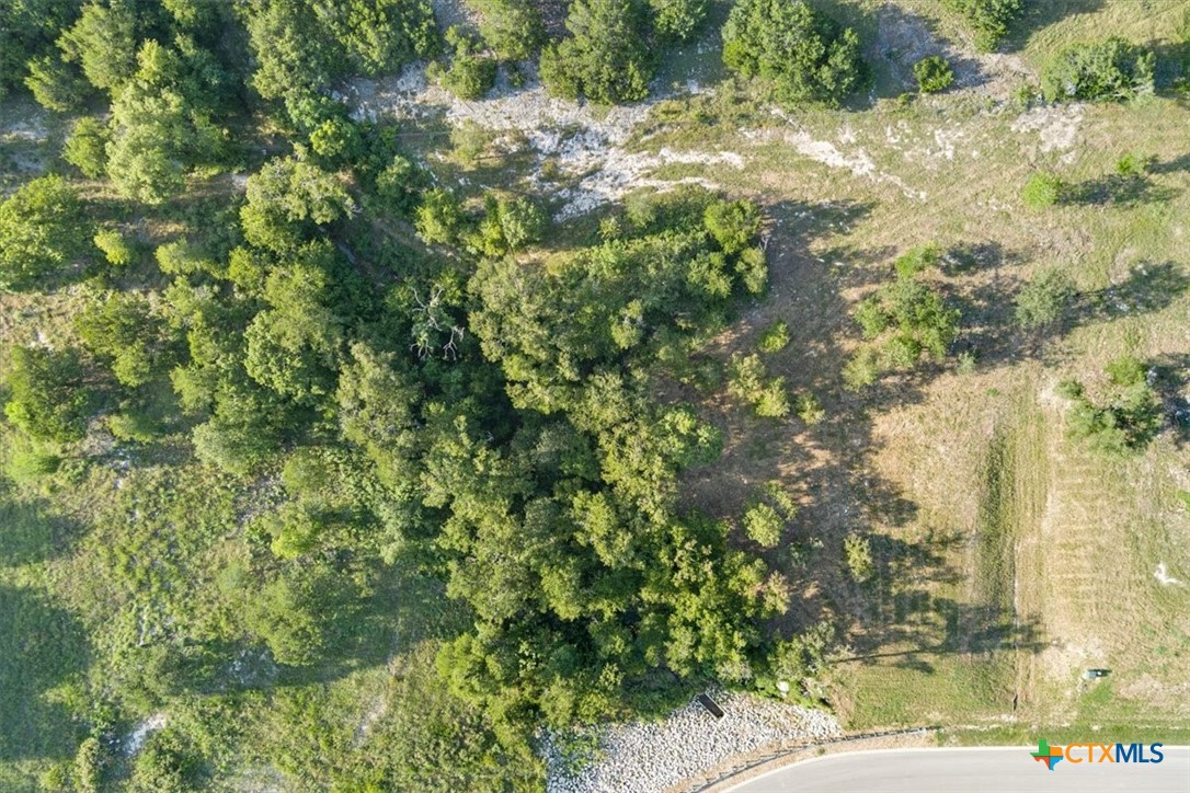 10132 Blanco Springs Road Gatesville, TX 76528 - Photo 3 of 27 Gallery Image 3