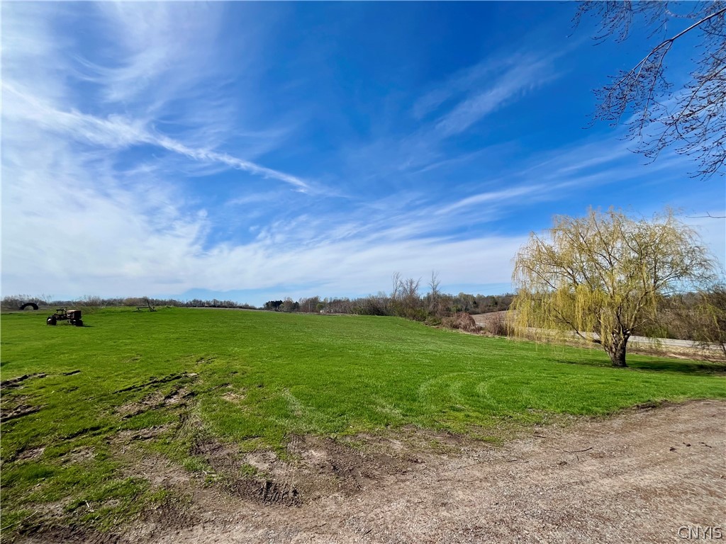 2086 State Route Sterling, NY 13156 - Photo 10 of 15 Side Lawn